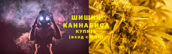 тгк Горно-Алтайск