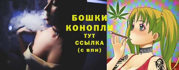 бошки Горнозаводск