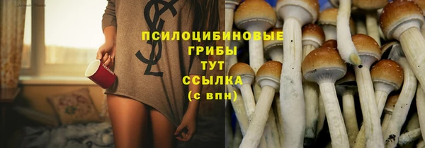 бошки Горнозаводск