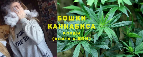 тгк Горно-Алтайск