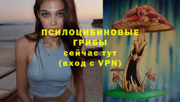 тгк Горно-Алтайск