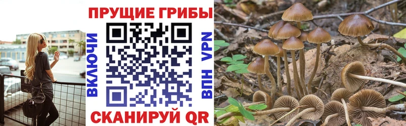 Галлюциногенные грибы Cubensis  купить наркотики сайты  Изобильный 